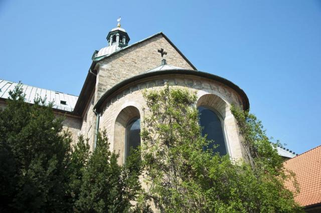 Der Tausendjährige Rosenstock In Hildesheim